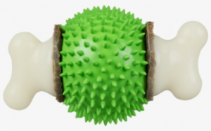 a green doggy chew toy